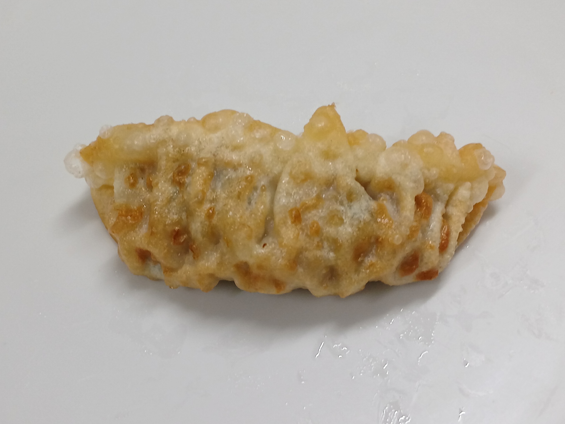 こだわり野菜餃子（栃木県産ニラ入り）FeCa