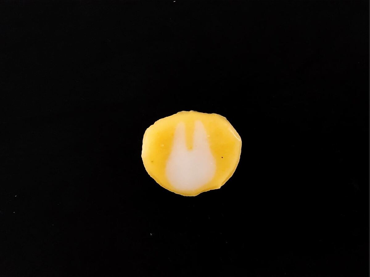 GK月見ちらし蒲鉾 