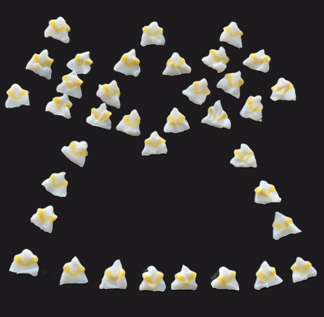 ＧＫかぶとちらし蒲鉾